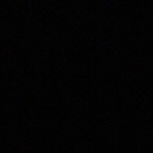 Meet your Posher, Trenton